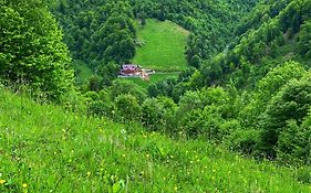 Pensiunea Valea Rasului